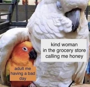 Stupid Bar Memes youreshavingsasgoodsday