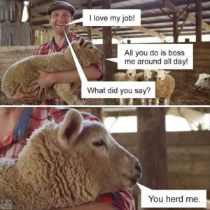 Stupid Bar Memes yourespunny