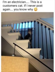 Stupid Bar Memes youresseeingscats