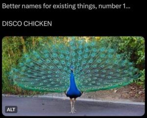 Stupid Bar Memes youresseeingsthems1