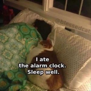 Stupid Bar Memes youressleepingswell