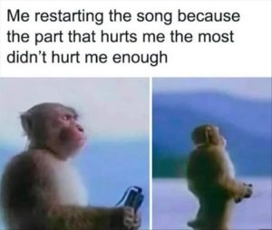 Stupid Bar Memes youressong