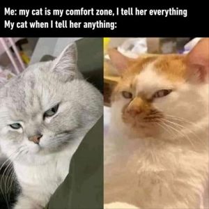 Stupid Bar Memes yourestalking