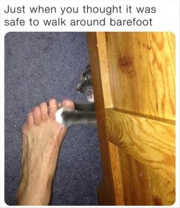 Stupid Bar Memes youreswalkings1