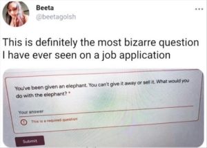Stupid Bar Memes youreswantingsquestionss1