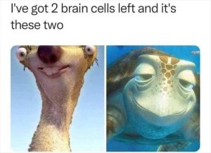 Stupid Bar Memes youreswantingsthese
