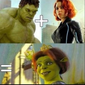 Stupid Bar Memes youreswantingstosunseesthat
