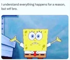 Stupid Bar Memes youreswondering
