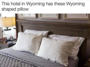 Stupid Bar Memes youresyourespillows