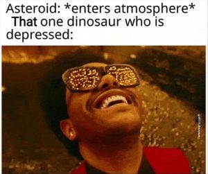 Stupid Bar Memes youresyous8