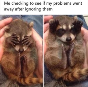 Stupid Bar Memes youshavingsproblems
