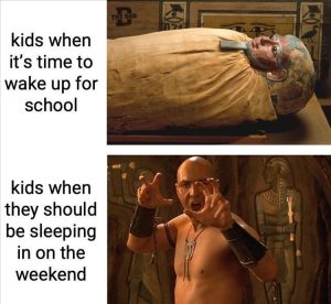 Stupid Bar Memes zsfunnys151