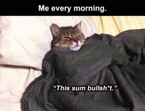 Stupid Bar Memes zsfunnys169