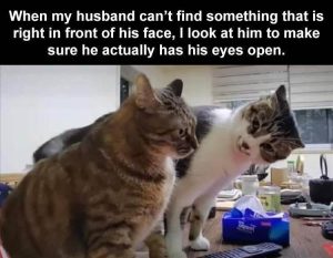 Stupid Bar Memes zsfunnys231