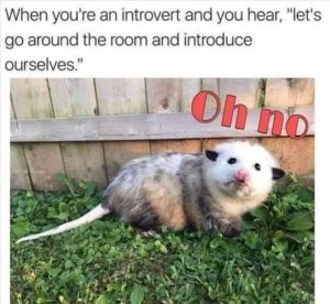 Stupid Bar Memes zsfunnys275