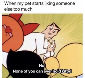 Stupid Bar Memes zsfunnys377