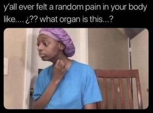 Stupid Bar Memes zsfunnys421