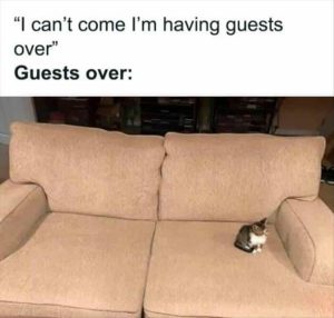 Stupid Bar Memes zsfunnys97