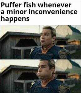 Stupid Bar Memes zsfuns12