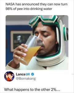 Stupid Bar Memes zsfuns139s1