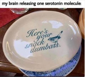 Stupid Bar Memes zsfuns143s2