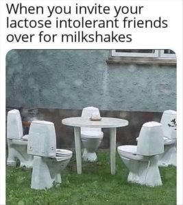 Stupid Bar Memes zsfuns149s1