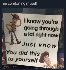 Stupid Bar Memes zsfuns161s1