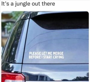 Stupid Bar Memes zsfuns161s2