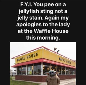 Stupid Bar Memes zsfuns16s3
