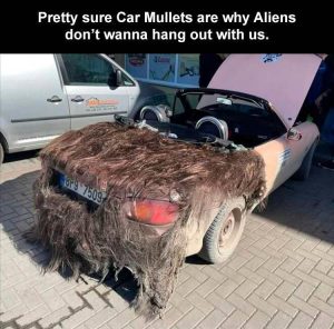 Stupid Bar Memes zsfuns188