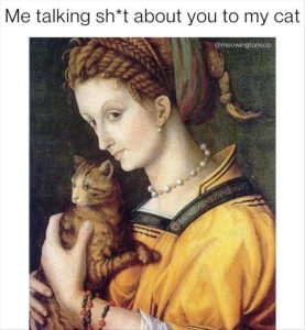 Stupid Bar Memes zsfuns20