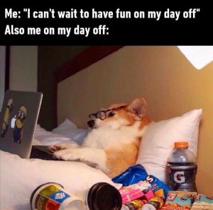 Stupid Bar Memes zsfuns224s1
