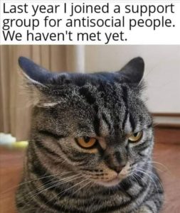 Stupid Bar Memes zsfuns225s1
