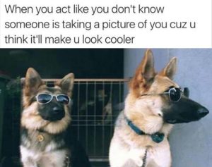 Stupid Bar Memes zsfuns304s1