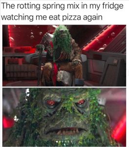 Stupid Bar Memes zsfuns31s2