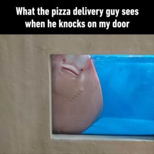 Stupid Bar Memes zsfuns337