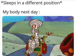Stupid Bar Memes zsfuns341