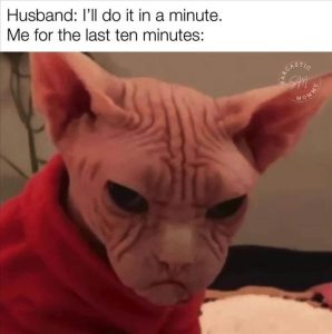 Stupid Bar Memes zsfuns359