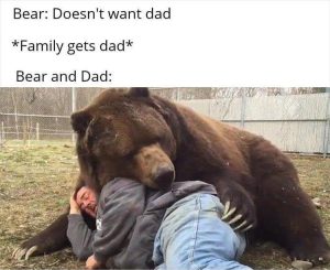 Stupid Bar Memes zsfuns412