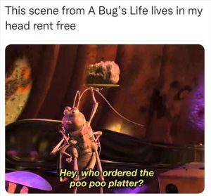 Stupid Bar Memes zsfuns42s1
