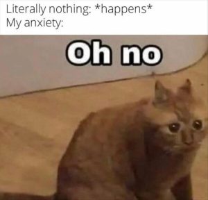 Stupid Bar Memes zsfuns48s1