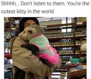 Stupid Bar Memes zsfuns494