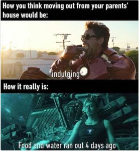 Stupid Bar Memes zsfuns499