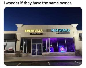 Stupid Bar Memes zsfuns53