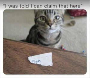 Stupid Bar Memes zsfuns56s1 1