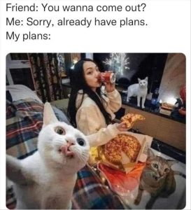 Stupid Bar Memes zsfuns64