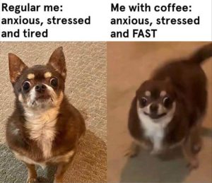 Stupid Bar Memes zsfuns7s1