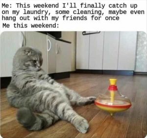 Stupid Bar Memes zsfuns81s2
