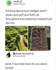 Stupid Bar Memes zsmemess17