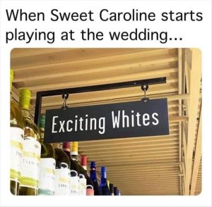 Stupid Bar Memes zsmemess43